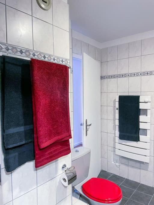 Apartament Lumineux Avec Vue Sur Les Vosges Colmar Zewnętrze zdjęcie