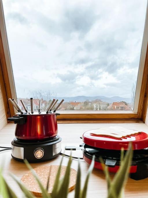 Apartament Lumineux Avec Vue Sur Les Vosges Colmar Zewnętrze zdjęcie